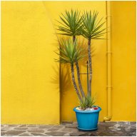 _m228975a - copie
